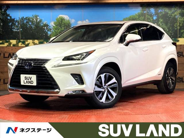 NX(レクサス) 300h バージョンL 中古車画像
