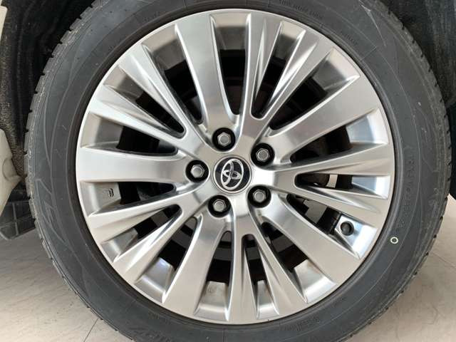 18�C���`�A���~�t��!!