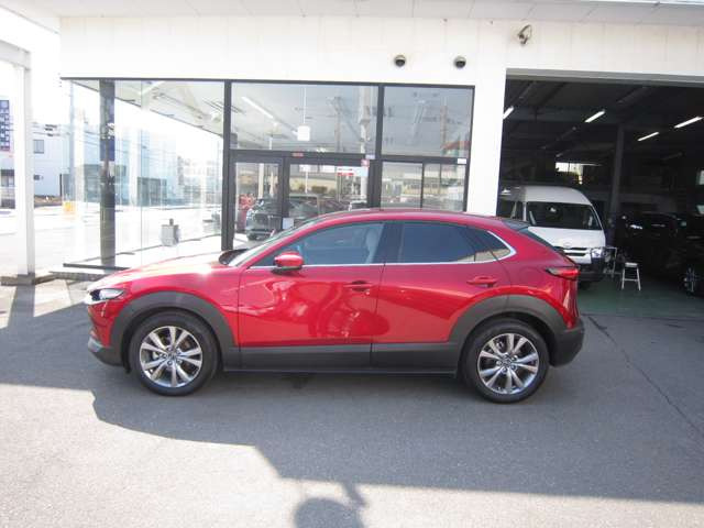 CX-301.8 XD プロアクティブ