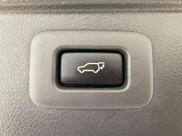 �p���[�o�b�N�h�A(�d�����A�Q�[�g)�t��!!