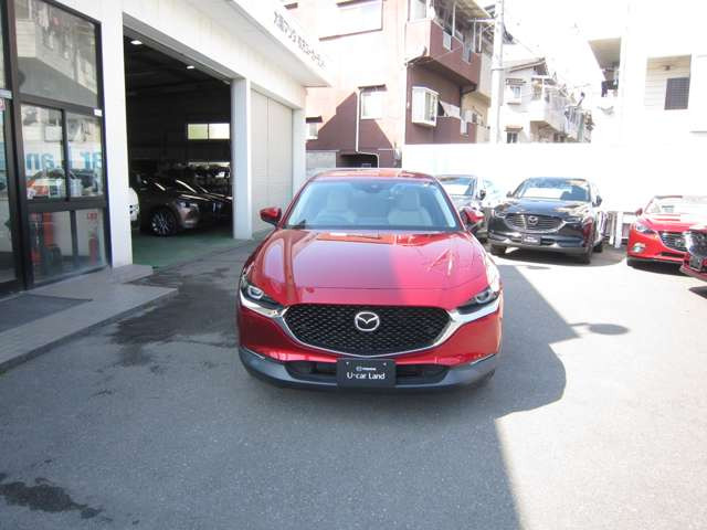 CX-301.8 XD プロアクティブ