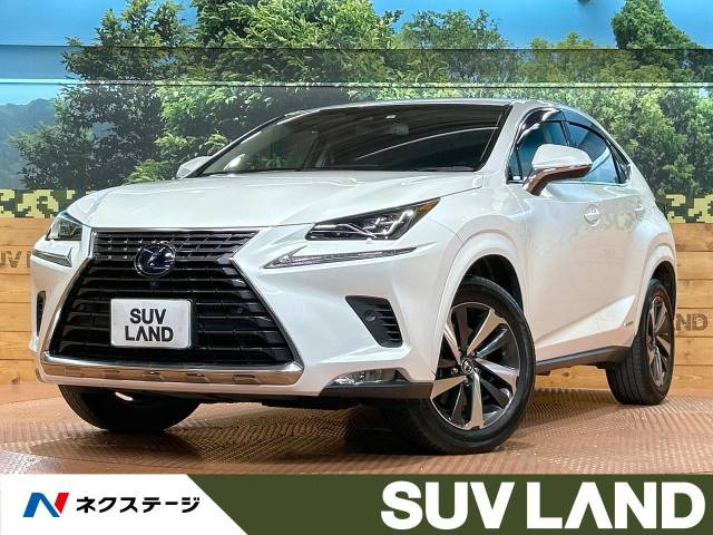 NX(レクサス) 300h バージョンL 中古車画像