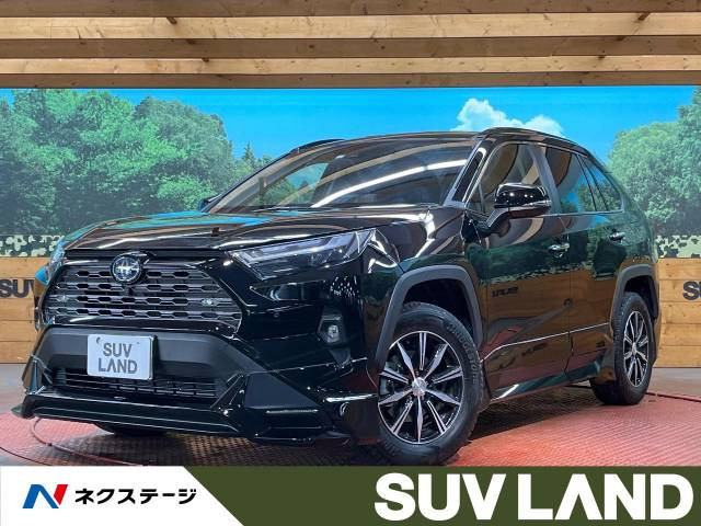 RAV4(トヨタ) ハイブリッドG 中古車画像