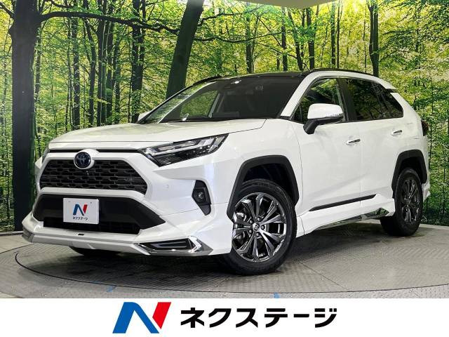 RAV4(トヨタ) ハイブリッドG 中古車画像