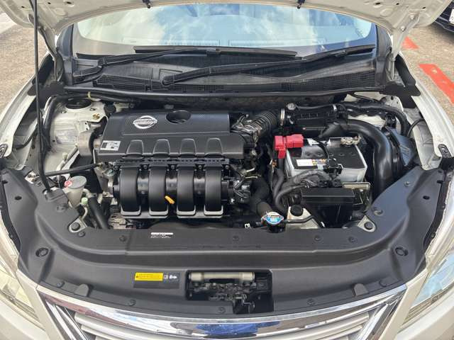 クリーニング済み