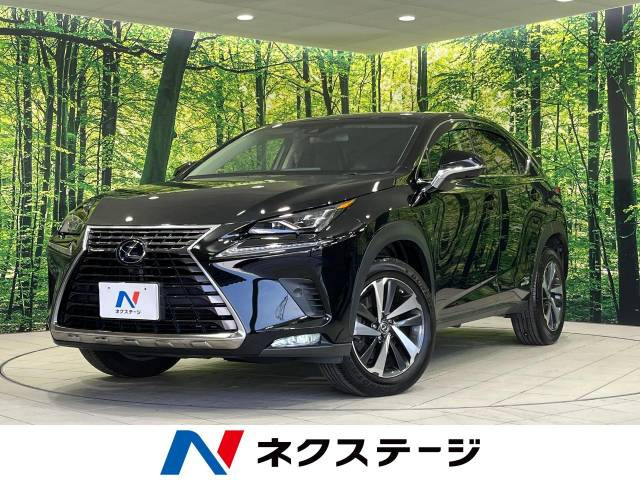 NX(レクサス) 300h バージョンL 中古車画像