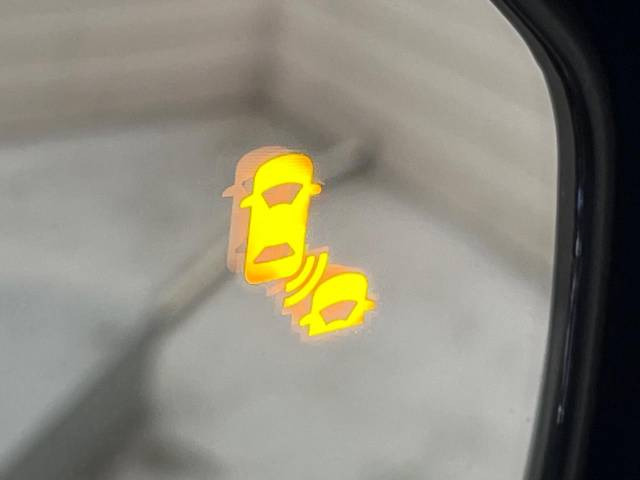 �y�u���C���h�X�|�b�g�C���t�H���[�V�����z���[�_�[�ɂ��׎Ԑ��̎ԗ������m�B�ԗ������m�������̕\�������_���B�ԗ������m���Ă��鑤�ɎԐ��ύX�����悤�Ƃ����ꍇ�A�u�U�[�ƕ\���Ŋ댯�����m�点���܂��B