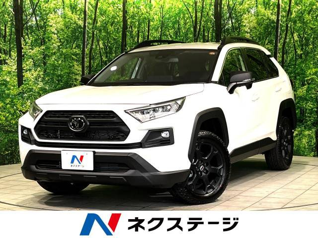RAV4(トヨタ) 2.0 アドベンチャー オフロードパッケージ II 4WD 中古車画像