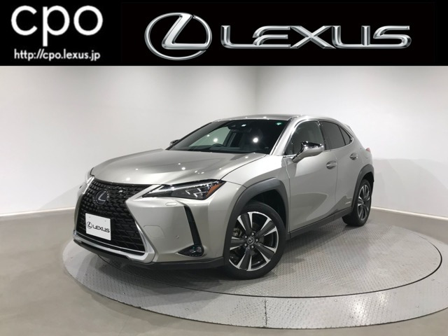 UX250h バージョンL