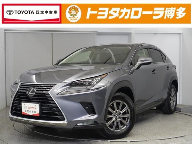 NX300 Iパッケージ