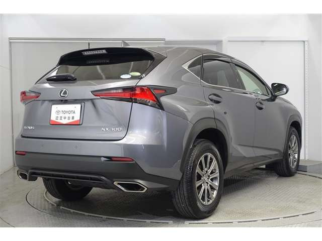 NX300 Iパッケージ