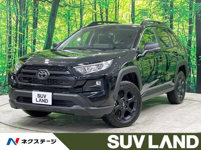 RAV4(トヨタ) 2.0 アドベンチャー オフロードパッケージ II 4WD 中古車画像