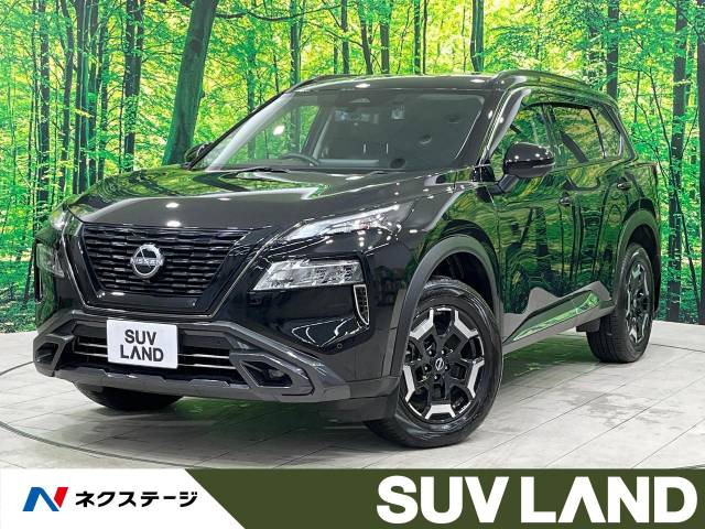 希少 特別仕様車専用品】ニッサン T32 エクストレイル ブラック
