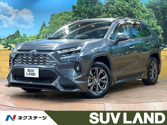 RAV4(トヨタ) ハイブリッドG 中古車画像