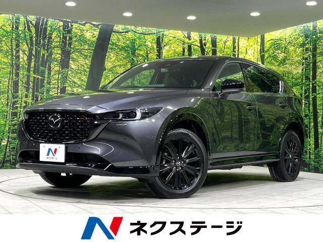 CX-5(マツダ) 2.5 25S スポーツアピアランス 中古車画像
