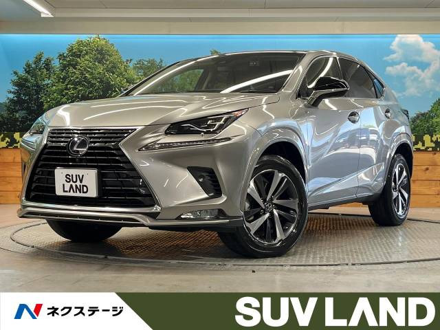 NX(レクサス) 300h スパイス&amp;シック 中古車画像