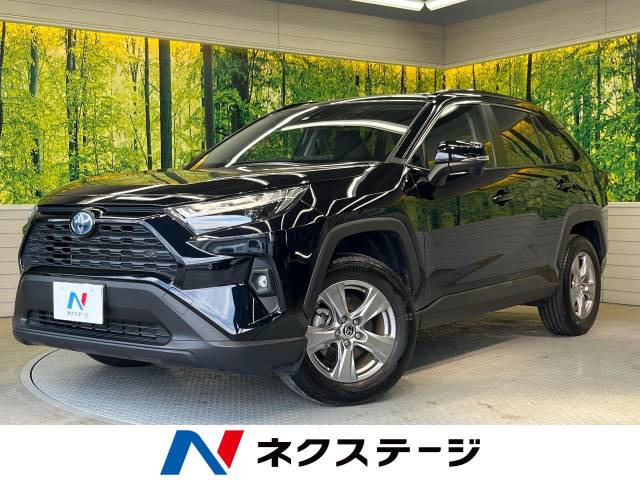 RAV4(トヨタ) 2.5 ハイブリッド X E-Four 4WD 中古車画像