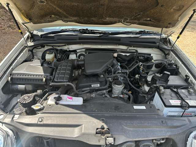 ����{�C�ł����k�ɂ̂点�Ă��������܂�!����͂����܂�����