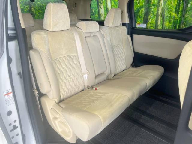 �㕔���Ȃ��C�ɂȂ�悤�ȃL�Y�E�����ւ��蓙�A�傫�ȃ_���[�W�͂Ȃ��A�ǍD�ȏ�Ԃł��B