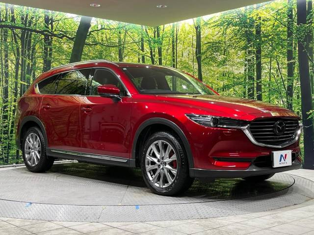 ��D�]�̃{�f�B�R�[�e�B���O�u�e�X�v���b�V���R�[�g�v�����[�Ԃ܂łɎ{�H�\�B�ʏ�̃K���X�R�[�g�ƈقȂ�A�ϋv�N��6�N�̖��@���K���X�R�[�e�B���O���A�{�f�B���L���C�ȏ�Ԃɕۂ��Ă���܂��B