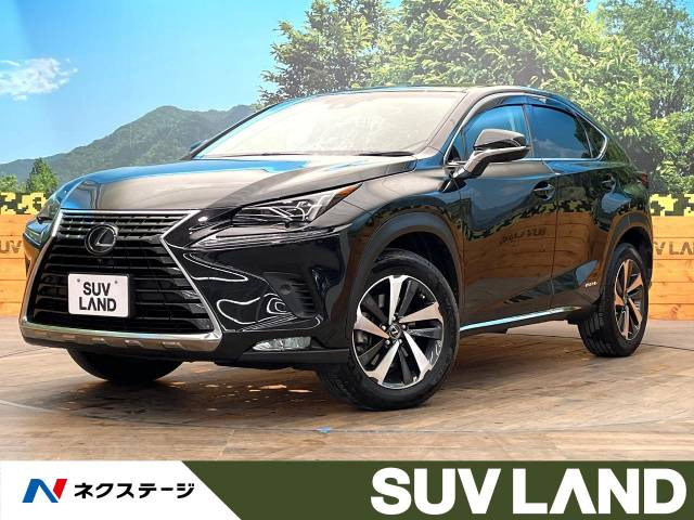 NX(レクサス) 300h バージョンL 中古車画像