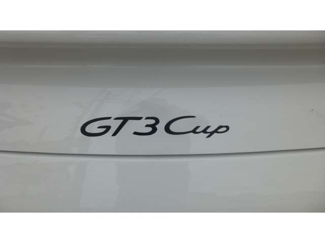 �M����GT3 �d�l�ɐ���܂��B