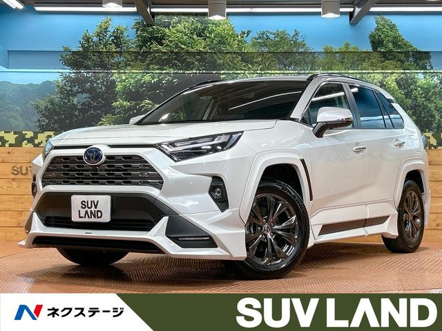 RAV4 ストリートモンスターオーバーフェンダー(助手席前後)中古