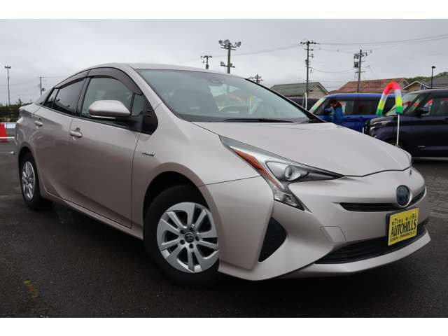 �ʐ^�ł͂Ȃ��Ȃ����`���ł��Ȃ��̂ŁA���Ј�x���ɗ��Ă������������ł�(*^-^*)