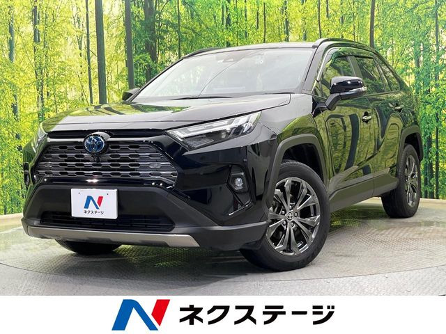 RAV4(トヨタ) ハイブリッドG 中古車画像