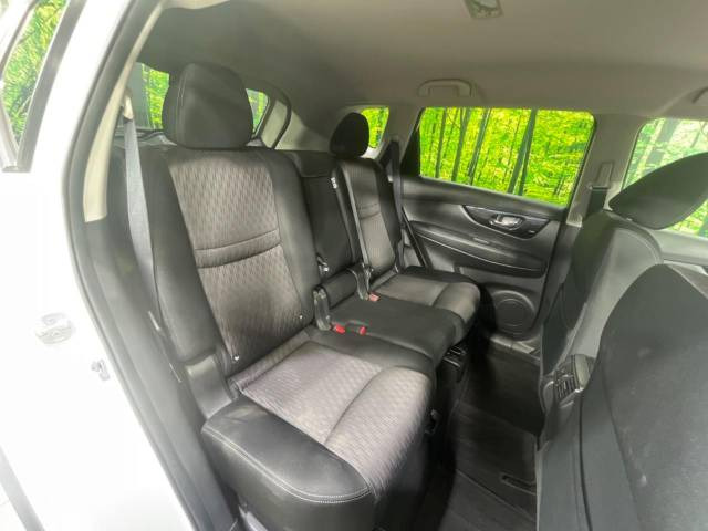 �㕔���Ȃ��C�ɂȂ�悤�ȃL�Y�E�����ւ��蓙�A�傫�ȃ_���[�W�͂Ȃ��A�ǍD�ȏ�Ԃł��B