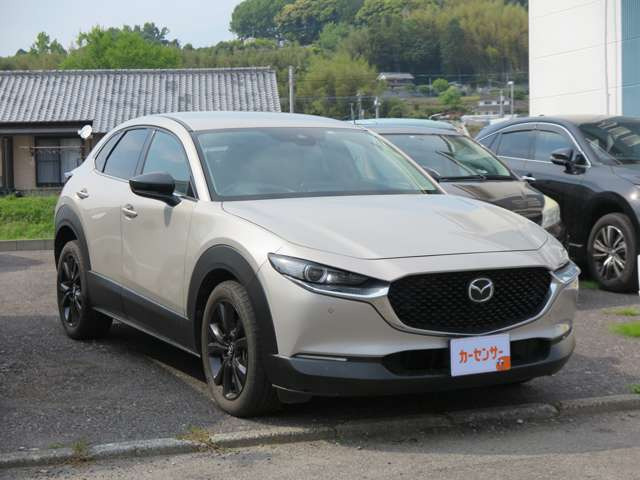 CX-30