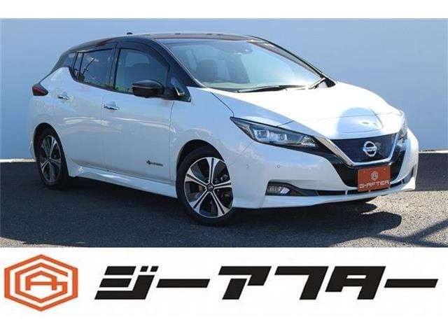 リーフ(日産) G　純正9型ナビ360&amp;deg;カメラTV温熱シートLED 中古車画像