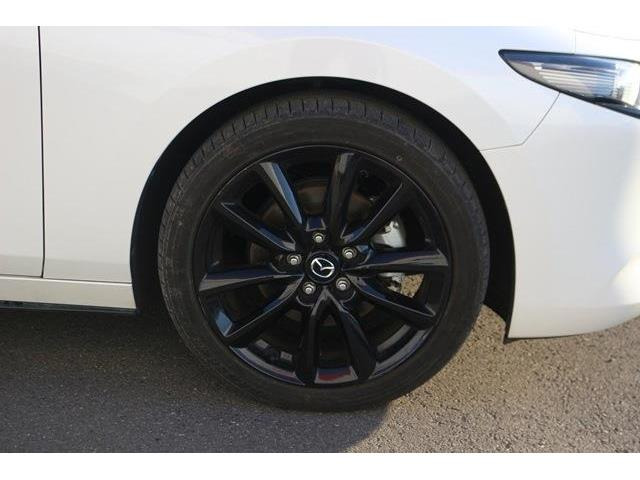 ���Ǝҗl�ւ̔̔��͂��f�肳���Ă��������܂��B�Ԍ������ԗ��̏ꍇ�́A�Ԍ����擾�������x�������z�ŕ\�����Ă���܂��B