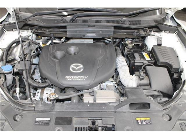 同業者様への販売はお断りさせていただきます。 車検無し車両の場合は、車検を取得したお支払い総額で表示しております。