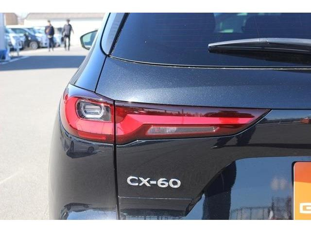 ���Ǝҗl�ւ̔̔��͂��f�肳���Ă��������܂��B �Ԍ������ԗ��̏ꍇ�́A�Ԍ����擾�������x�������z�ŕ\�����Ă���܂��B