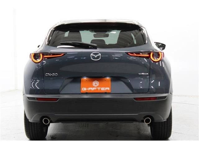 ���Ǝҗl�ւ̔̔��͂��f�肳���Ă��������܂��B �Ԍ������ԗ��̏ꍇ�́A�Ԍ����擾�������x�������z�ŕ\�����Ă���܂��B