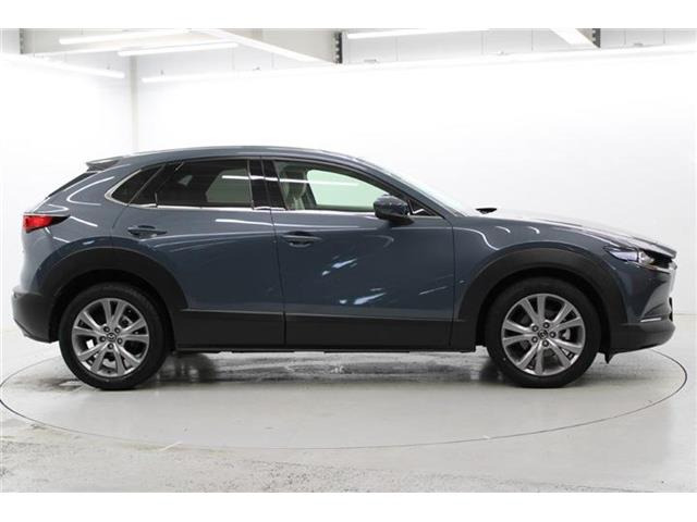 ���Ǝҗl�ւ̔̔��͂��f�肳���Ă��������܂��B �Ԍ������ԗ��̏ꍇ�́A�Ԍ����擾�������x�������z�ŕ\�����Ă���܂��B