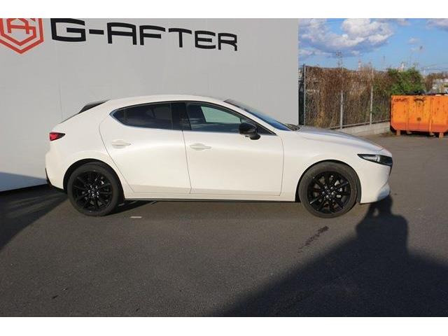 ���Ǝҗl�ւ̔̔��͂��f�肳���Ă��������܂��B�Ԍ������ԗ��̏ꍇ�́A�Ԍ����擾�������x�������z�ŕ\�����Ă���܂��B