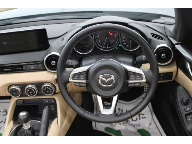 ���Ǝҗl�ւ̔̔��͂��f�肳���Ă��������܂��B �Ԍ������ԗ��̏ꍇ�́A�Ԍ����擾�������x�������z�ŕ\�����Ă���܂��B