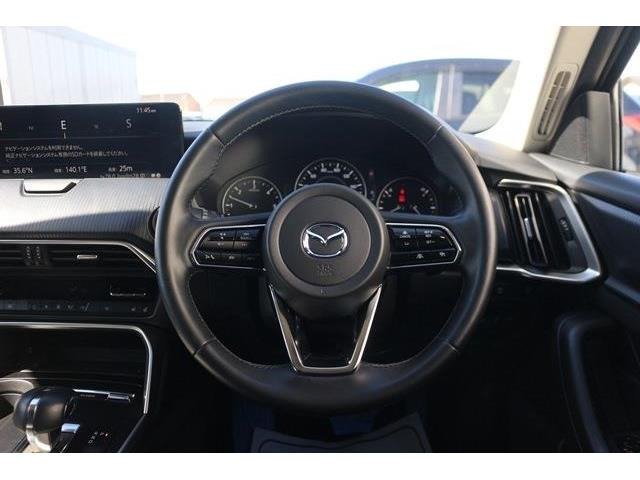 ���Ǝҗl�ւ̔̔��͂��f�肳���Ă��������܂��B �Ԍ������ԗ��̏ꍇ�́A�Ԍ����擾�������x�������z�ŕ\�����Ă���܂��B