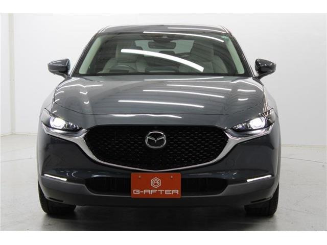 ���Ǝҗl�ւ̔̔��͂��f�肳���Ă��������܂��B �Ԍ������ԗ��̏ꍇ�́A�Ԍ����擾�������x�������z�ŕ\�����Ă���܂��B