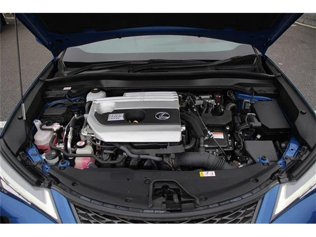 同業者様への販売はお断りさせていただきます。 車検無し車両の場合は、車検を取得したお支払い総額で表示しております。