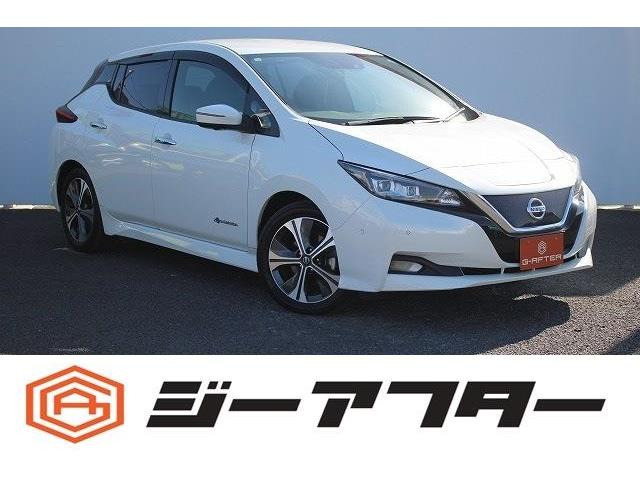 リーフ(日産) G　改良後プロパイ9型ナビOP後席ヒーターLED 中古車画像