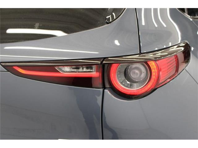 ���Ǝҗl�ւ̔̔��͂��f�肳���Ă��������܂��B �Ԍ������ԗ��̏ꍇ�́A�Ԍ����擾�������x�������z�ŕ\�����Ă���܂��B