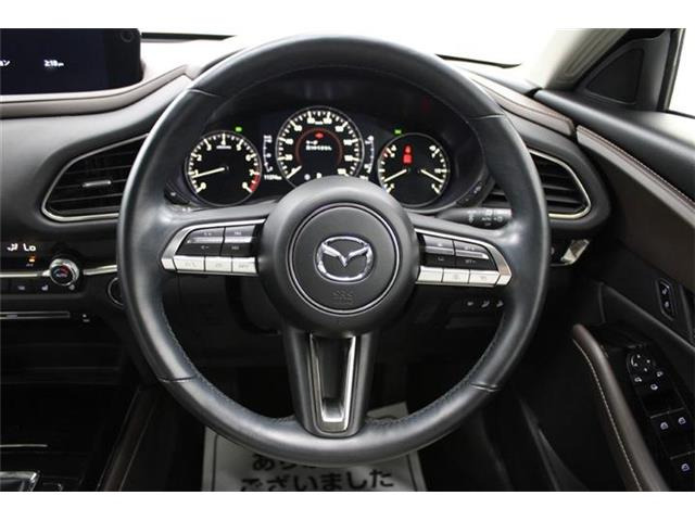 ���Ǝҗl�ւ̔̔��͂��f�肳���Ă��������܂��B �Ԍ������ԗ��̏ꍇ�́A�Ԍ����擾�������x�������z�ŕ\�����Ă���܂��B