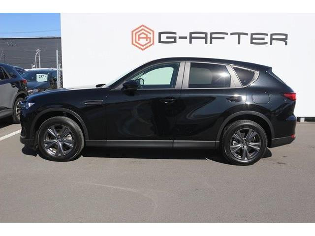 ���Ǝҗl�ւ̔̔��͂��f�肳���Ă��������܂��B �Ԍ������ԗ��̏ꍇ�́A�Ԍ����擾�������x�������z�ŕ\�����Ă���܂��B