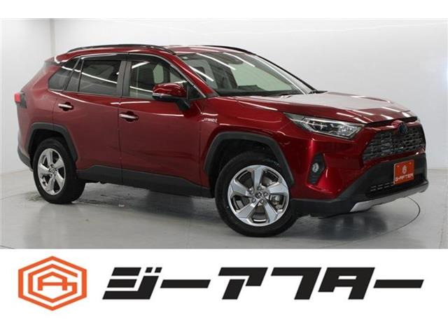 RAV4(トヨタ) 2.5 ハイブリッド G E-Four 4WD　純正9型ナビBカメラTV電動Rゲート衝突軽減 中古車画像