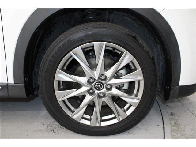 ���Ǝҗl�ւ̔̔��͂��f�肳���Ă��������܂��B �Ԍ������ԗ��̏ꍇ�́A�Ԍ����擾�������x�������z�ŕ\�����Ă���܂��B