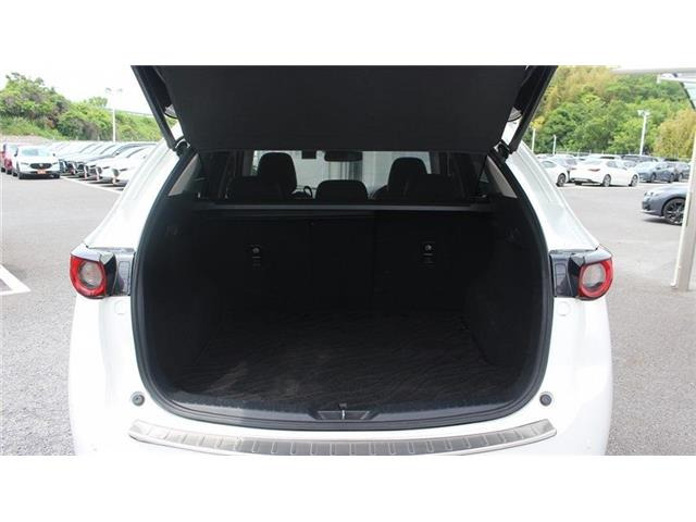 �����X�o���Ȃ����q�l�A���Ǝҗl�ւ̔̔��͂��f�肳���Ă��������܂��B�Ԍ������ԗ��̏ꍇ�́A�Ԍ����擾�������x�������z�ŕ\�����Ă���܂��B