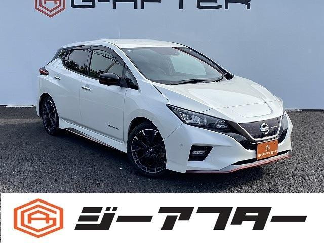 リーフ(日産) NISMO　OPプロパイ自動駐車ナビ360カメラ衝突軽減 中古車画像